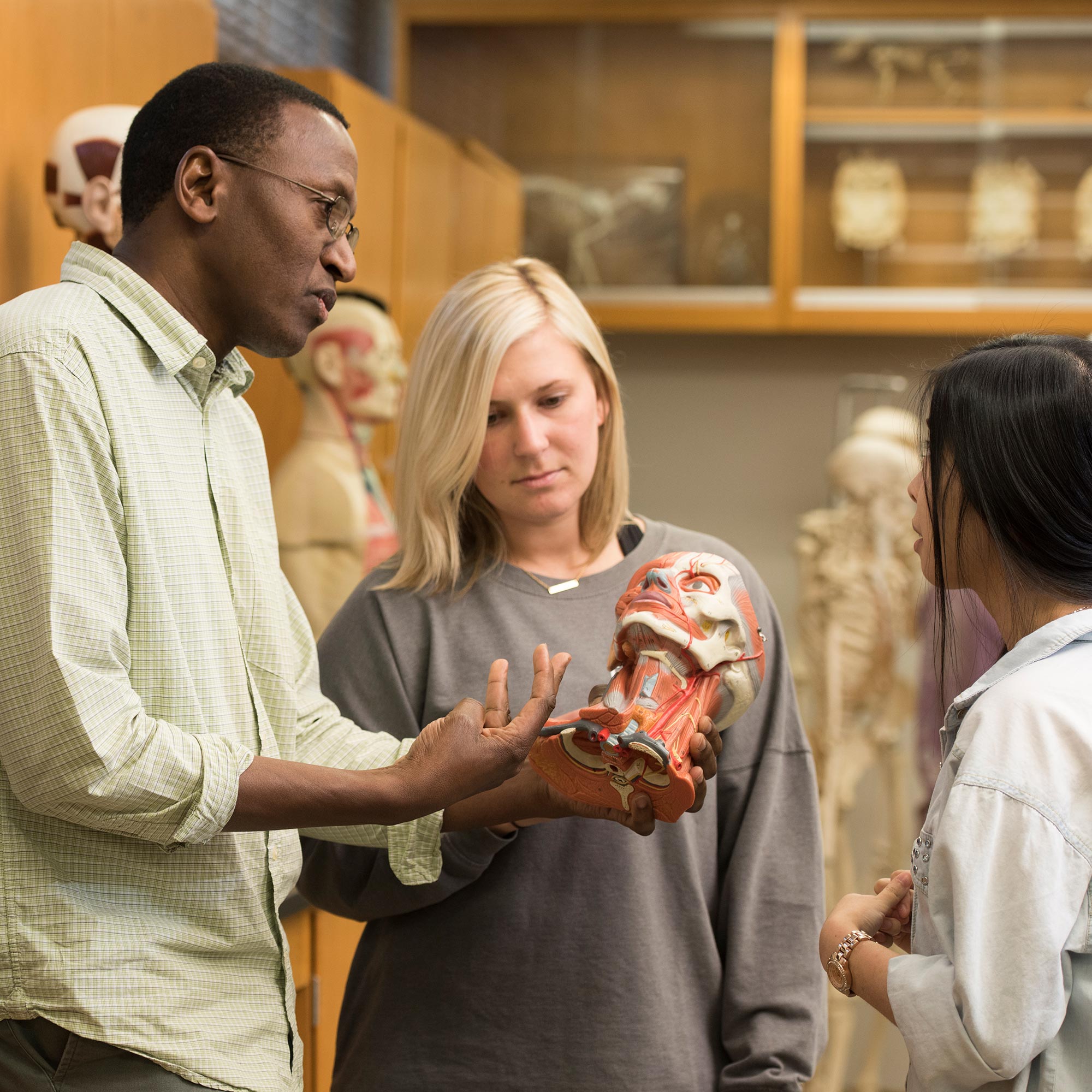 Students in anatomy class look at a model of a skull with their professor