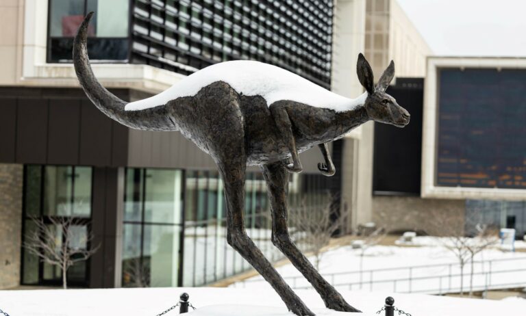 kangaroo staue on umkc campus with snow on it